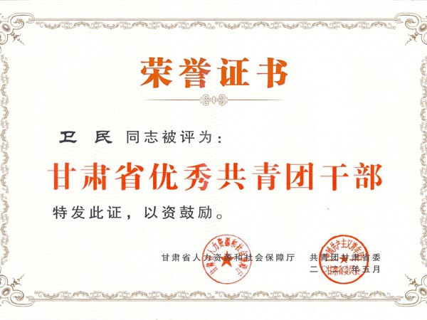 甘肅建投新能源科技股份有限公司團(tuán)支部青年代表參加“學(xué)習(xí)寄語精神，展現(xiàn)青春擔(dān)當(dāng)”座談會