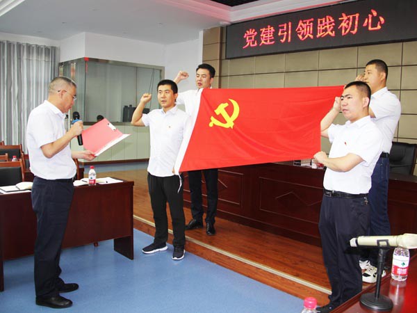 牢記責(zé)任使命，永葆入黨初心 ——新能源公司黨支部開展慶“七一”活動