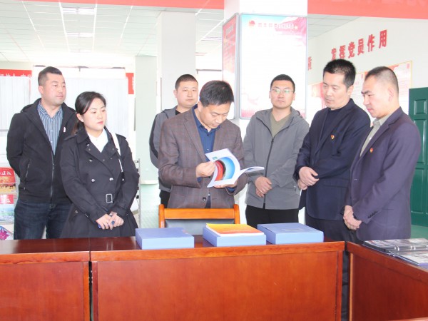 共青團武威市委書記馬維斌一行調(diào)研新能源公司共青團工作