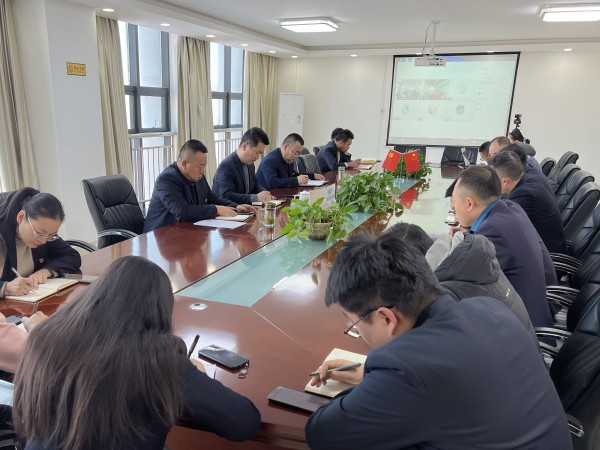 甘肅建投新能源公司召開2025年科技質量安全工作會暨安委會第一次會議