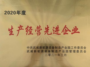 2020年度武威市新能源裝備產(chǎn)業(yè)園生產(chǎn)經(jīng)營(yíng)先進(jìn)企業(yè)
